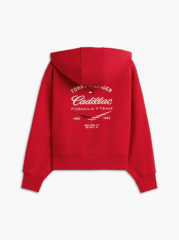 1 Team Logo Hoody