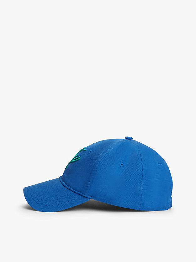 Logo Embroidery Baseball Cap