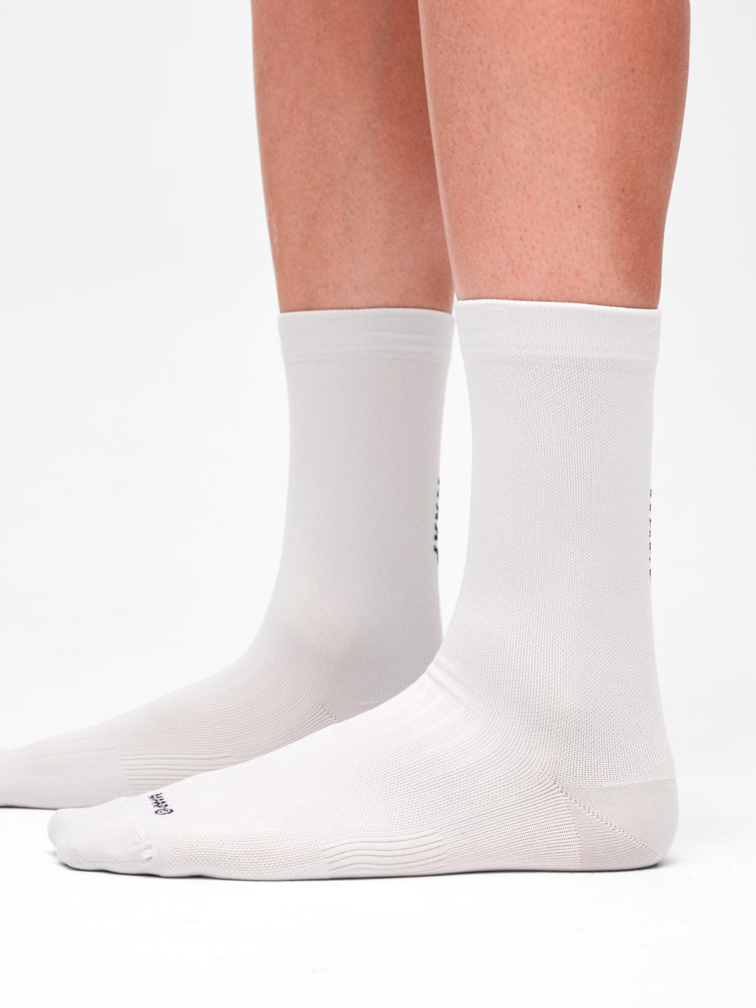 Team Sock - Antarctica